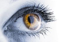 Glaukomvorsorge, Augeninnendruck, OCT, Makuladegeneration, Makulatherapie, Augenarzt Vaihingen