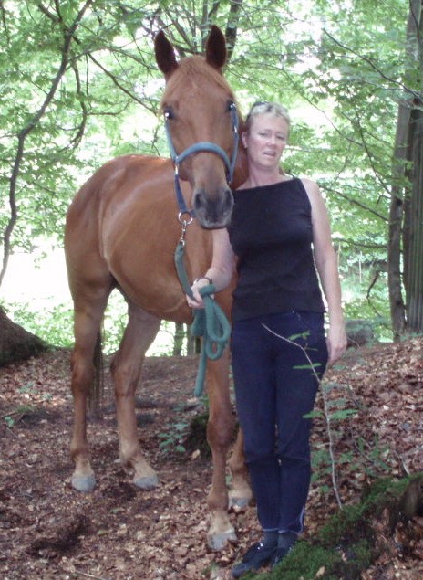 Tierheilpraxis für Pferde Diana Holderegger
