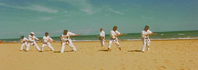 Karate Kobudo Stockkampf