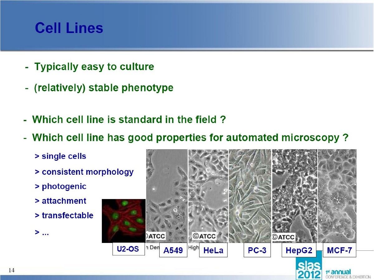 Advantages of cell lines