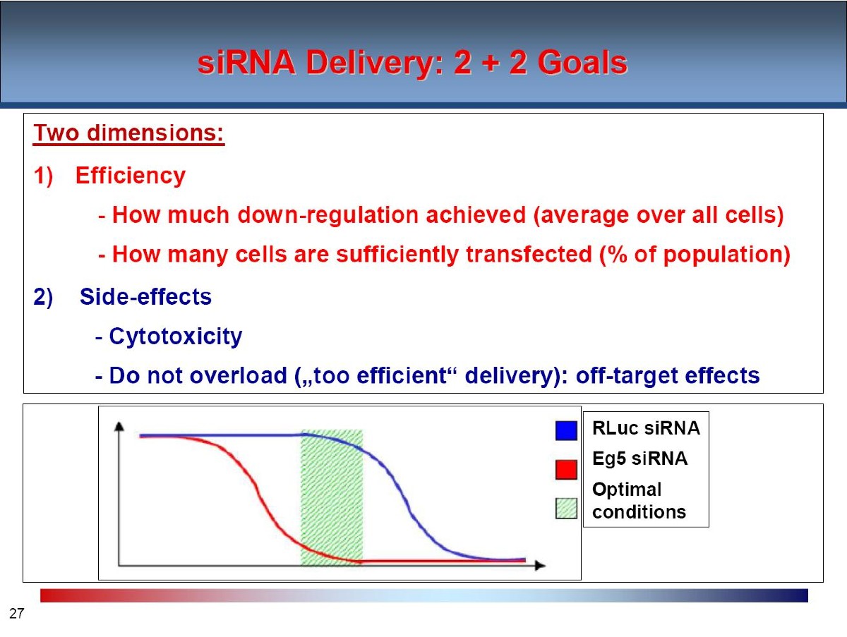 siRNA delivery optimisation