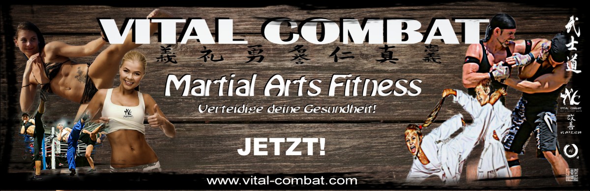 Vital Combat - Workshop 2017