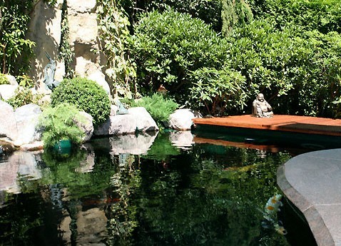 Koiteich Japangarten