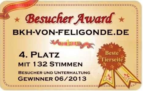 Award BKH von Feligonde