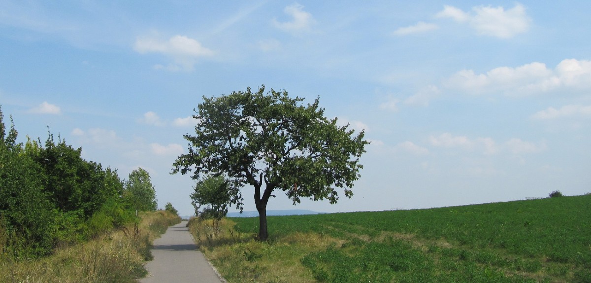 Radfernweg Thüringer Städtekette hinter Erfurt