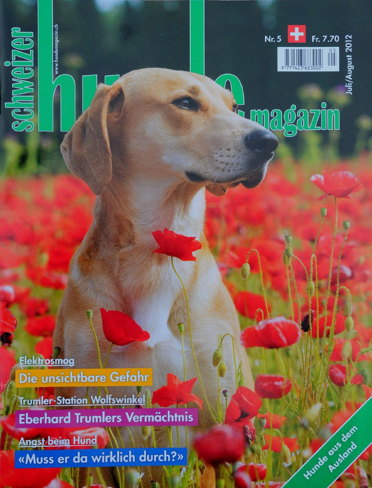 Titelbild Schweizer Hunde Magazin