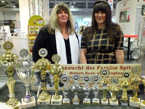 Hannover 2014.