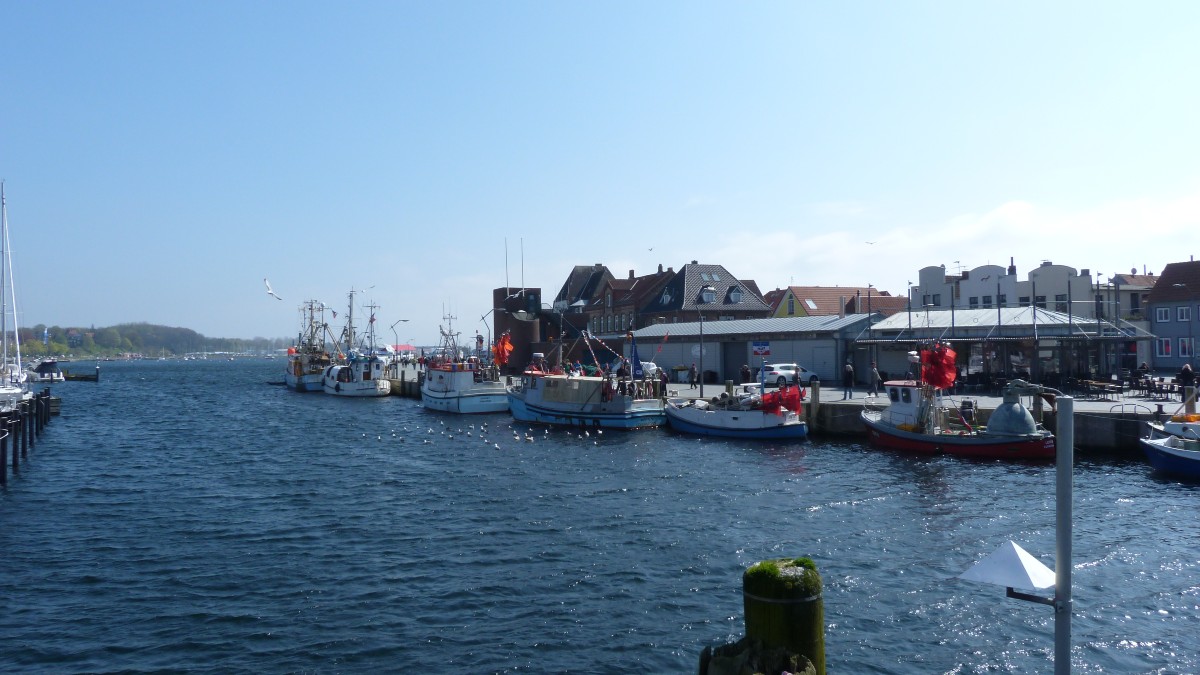 Eckernförde Hafen Königskirsche