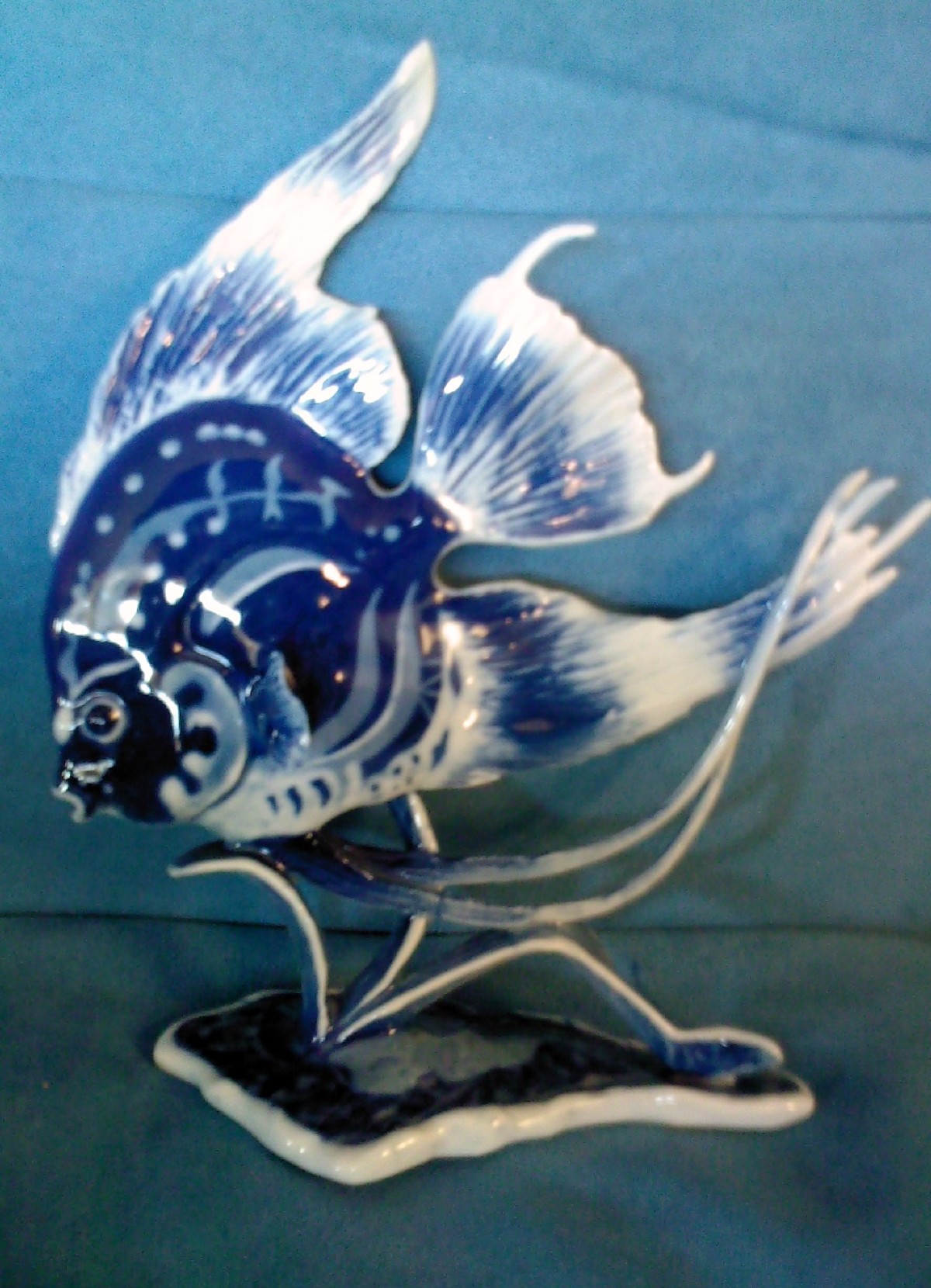 Rosenthal Skalar Männchen blau