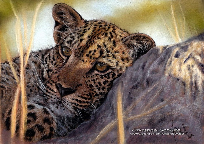 Leopard pastel portrait