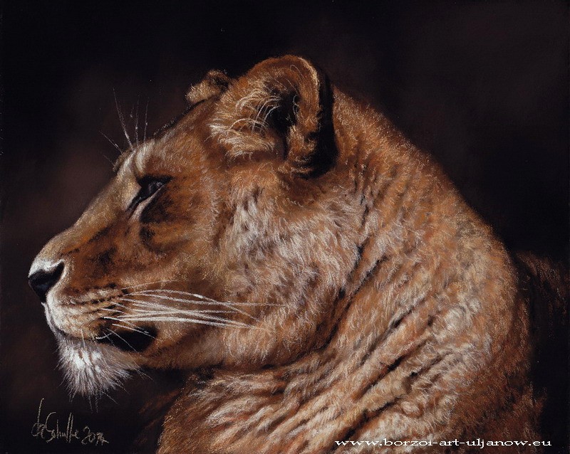 Wildlife pastel painting Lioness