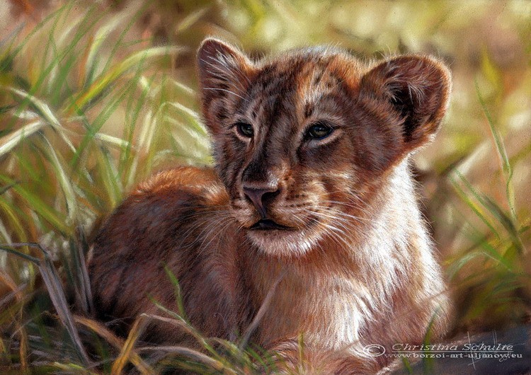 pastel lion cub