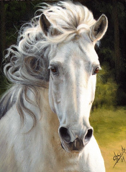 Oil painting Andalusian Stallion