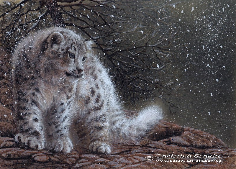 Wildlife painting Snow Leopard