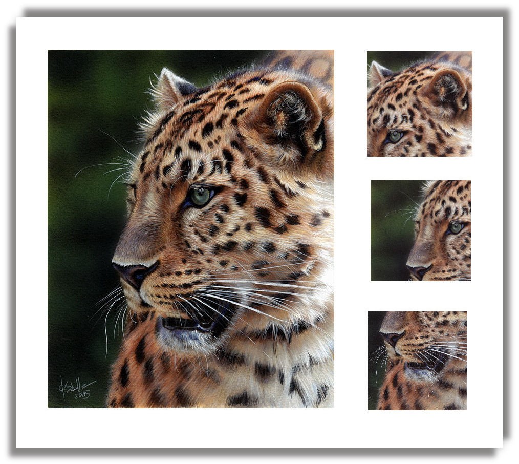 Acrylic painting Leopard