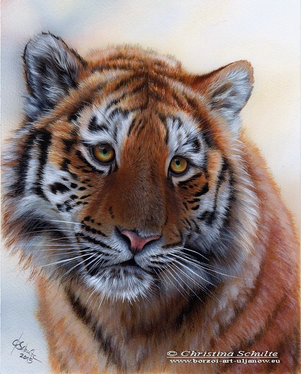 Wildlife painting Tiger