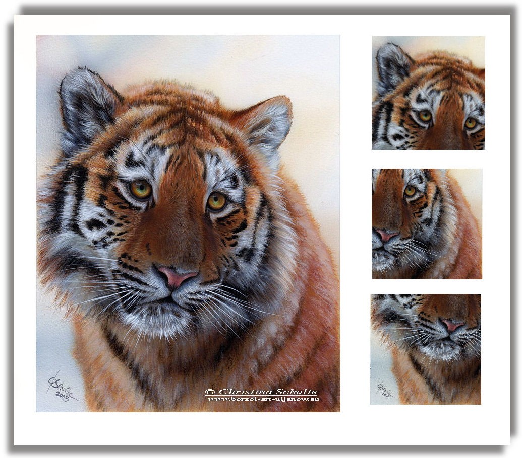 wildlife painting Tiger
