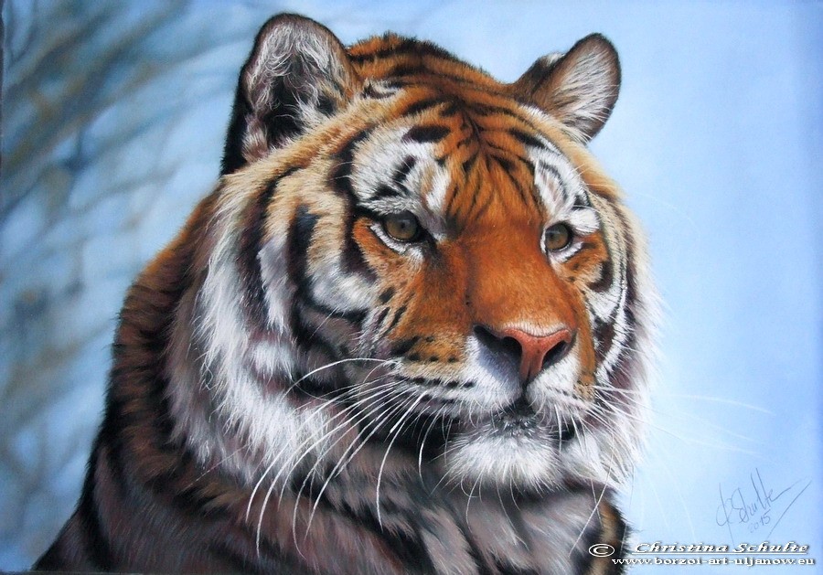 Wildlife painting Tiger
