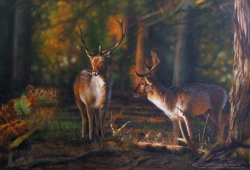 Red Deer Stag wildlife oil painting
