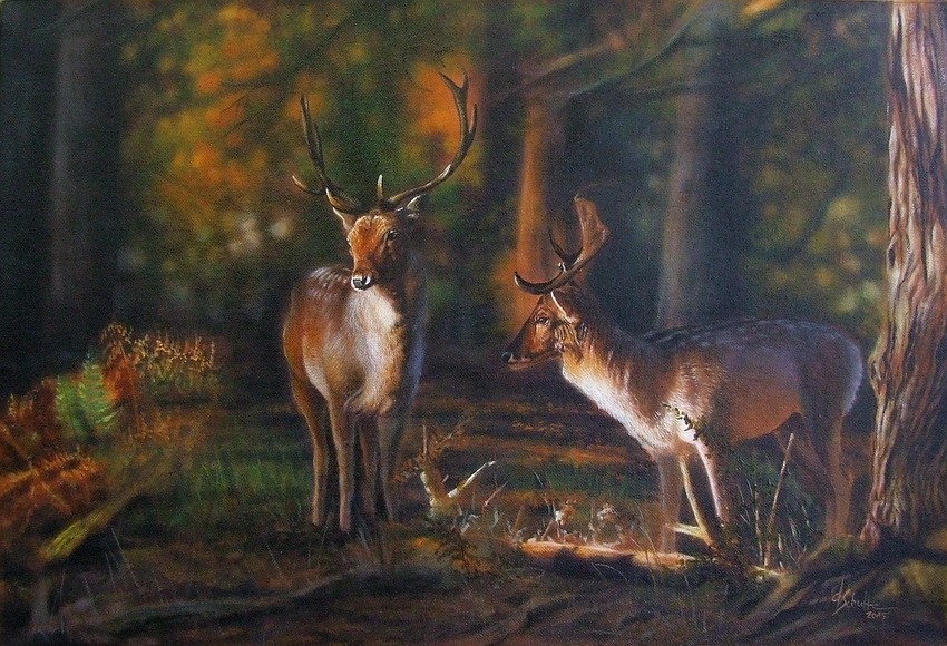 Wildlife oil painting Red Deer Stag