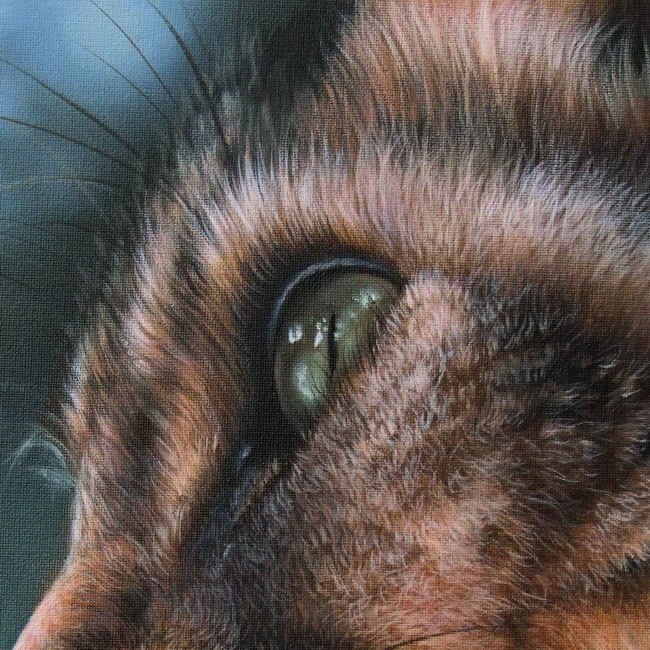Wildlife oil painting Bobcat