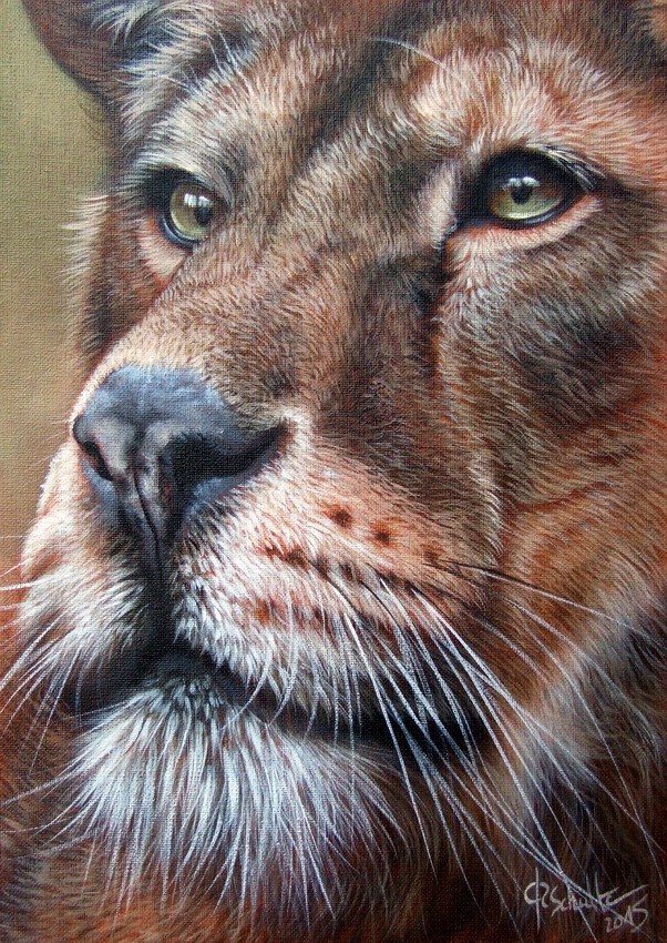 Lioness oil painting
