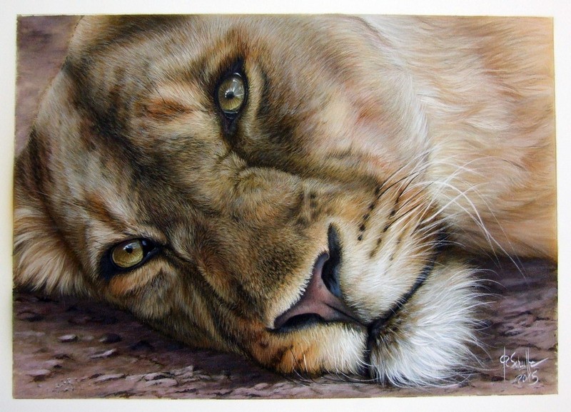 Lioness watercolor&pencil painting