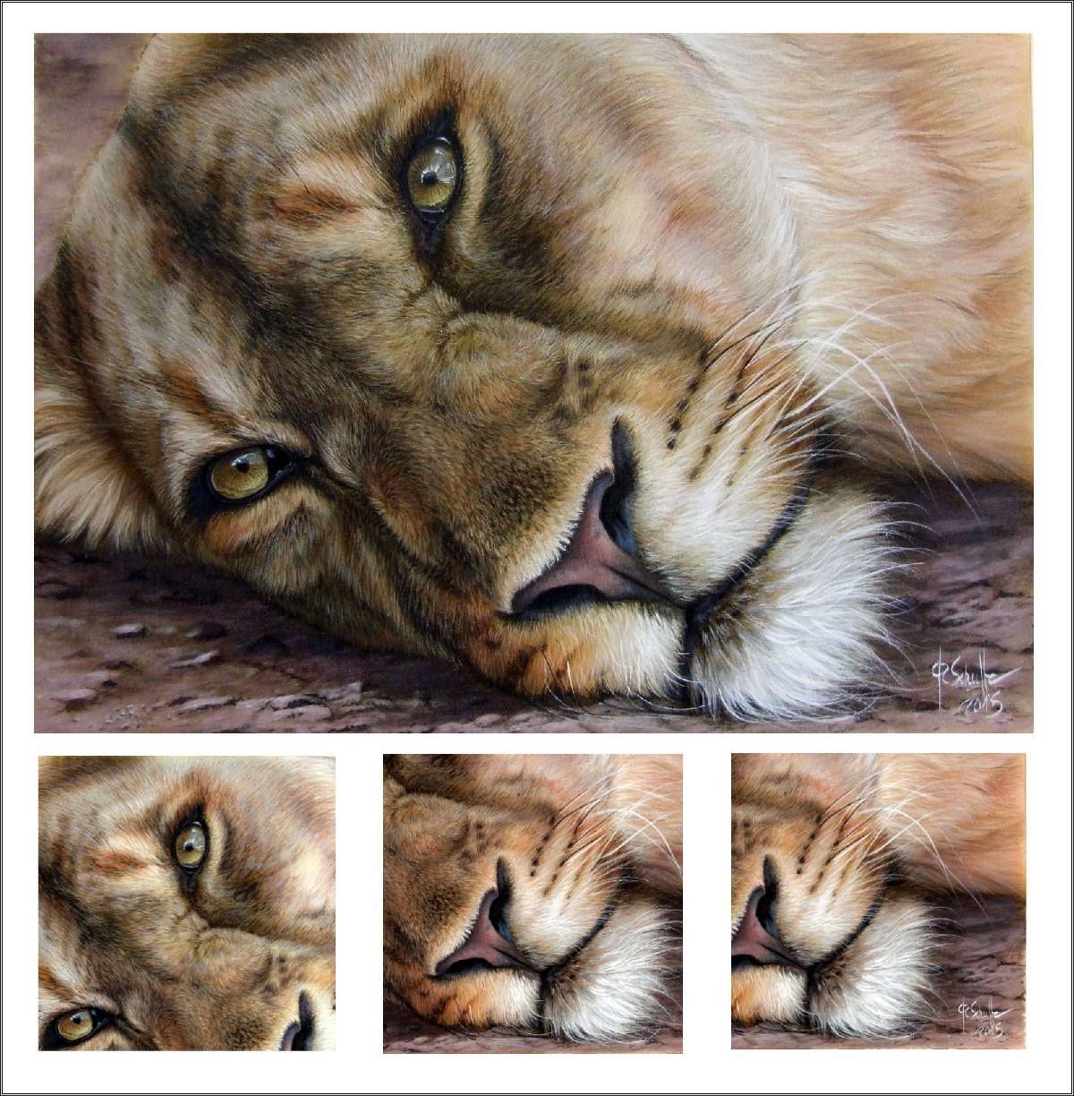 Lioness watercolor&pencil painting
