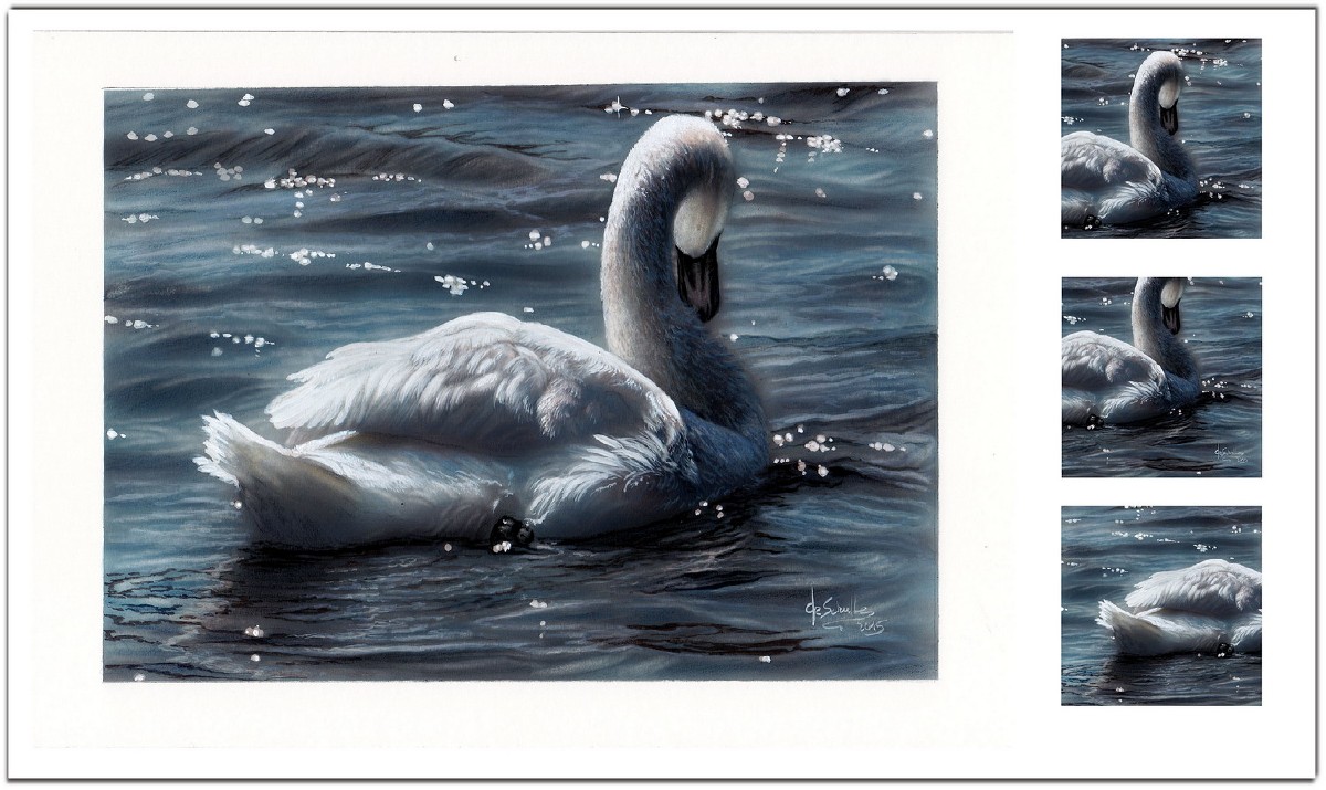 White Swan watercolour painting