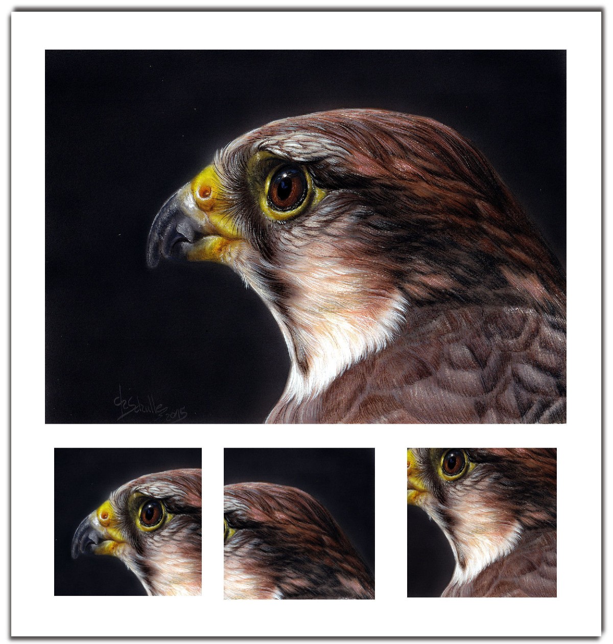 Wildlife painting Lanner Falcon