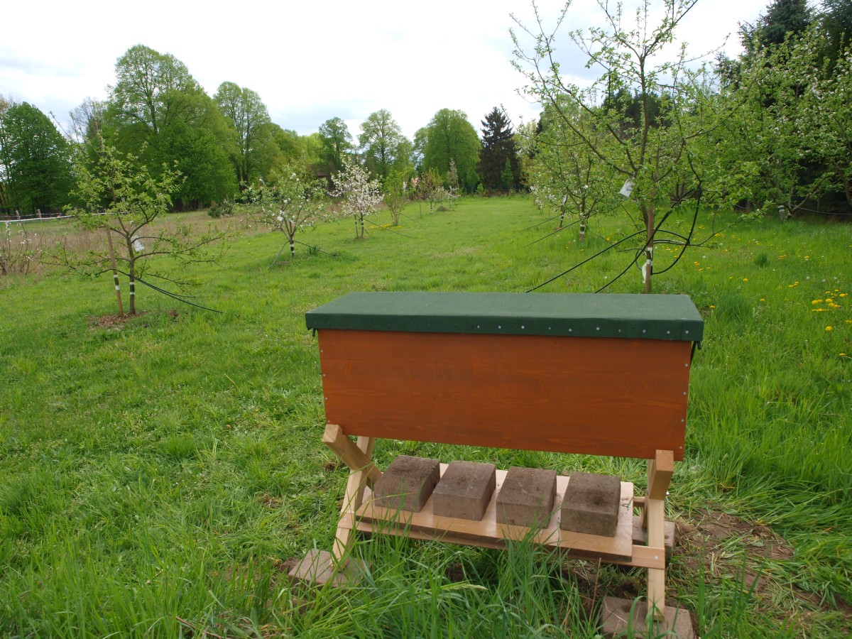 Standort unserer Bienenbox