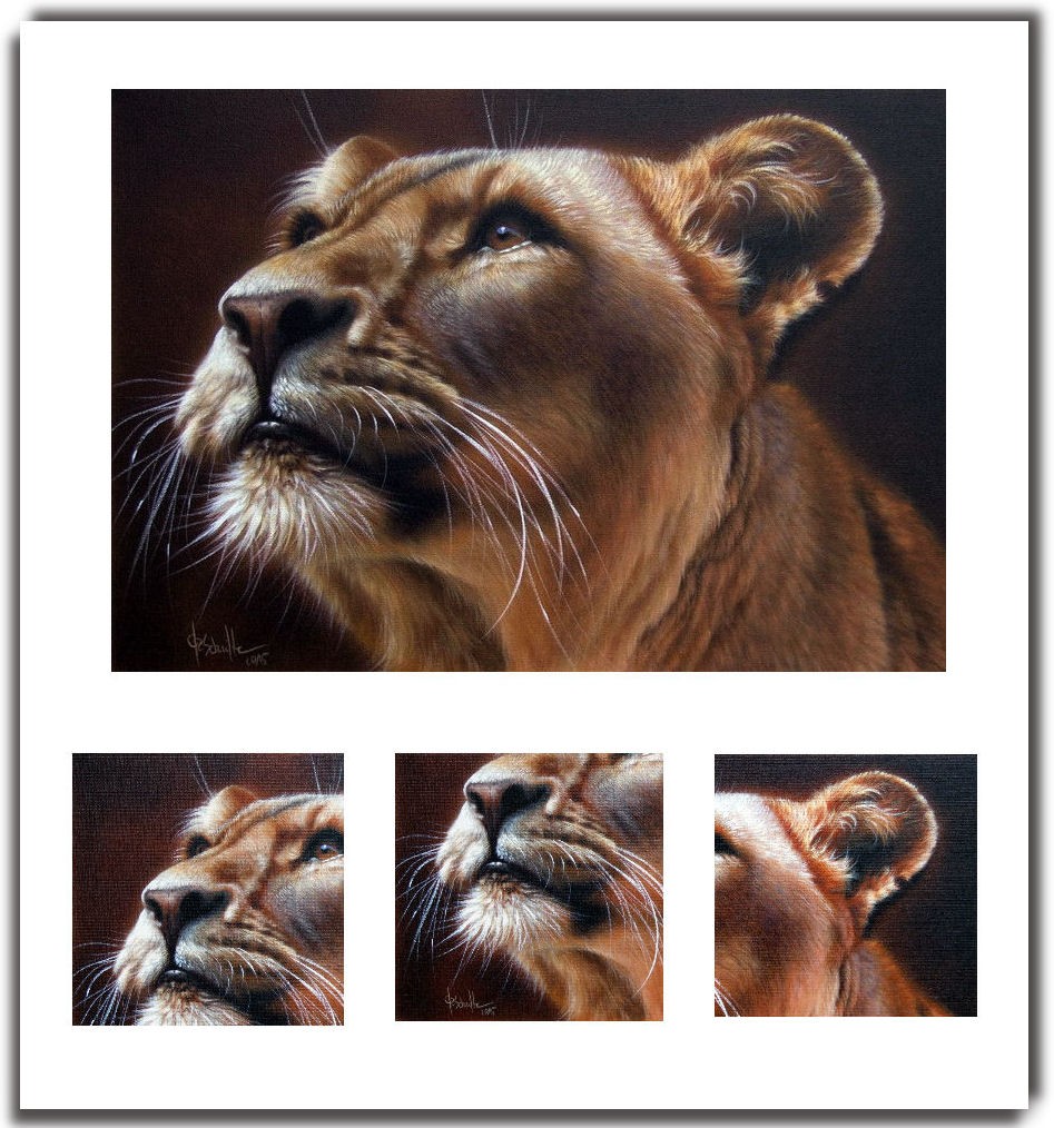 Lioness wildlife portrait