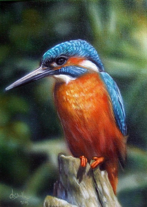 wildlife painting Kingfisher