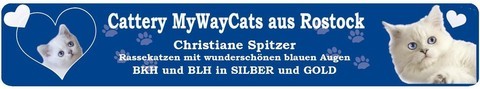 Mehr finden Sie auf www.MyWayCats.de