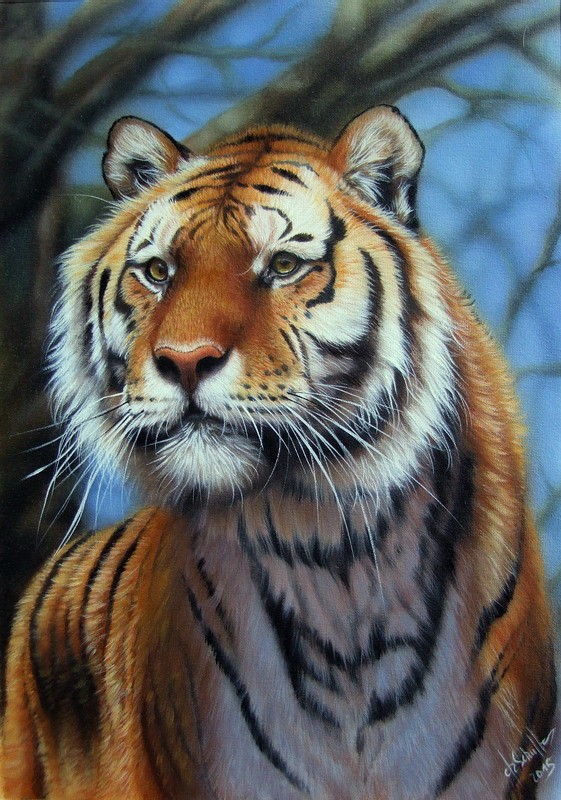 Oil painting Tiger