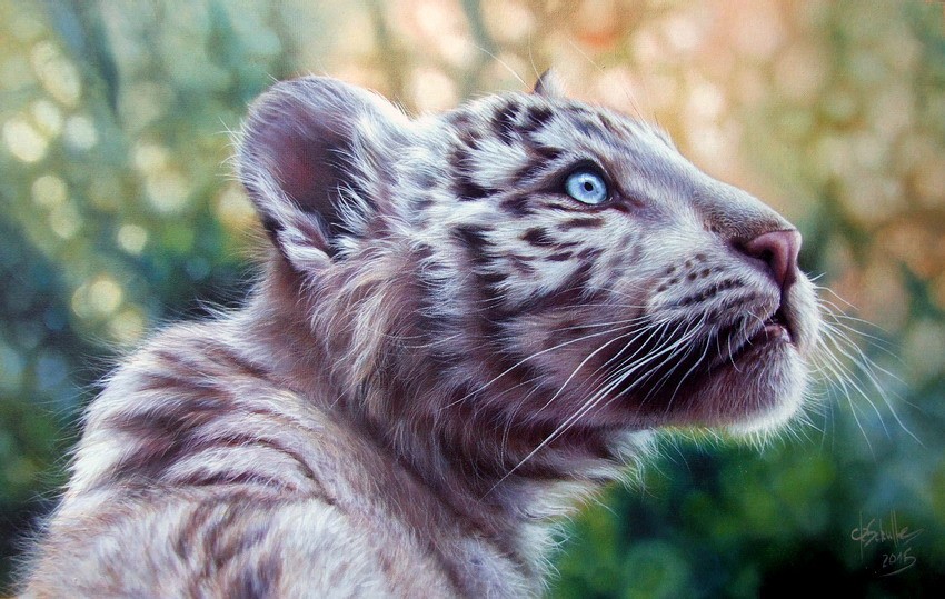 Wildlife painting White Tiger cub