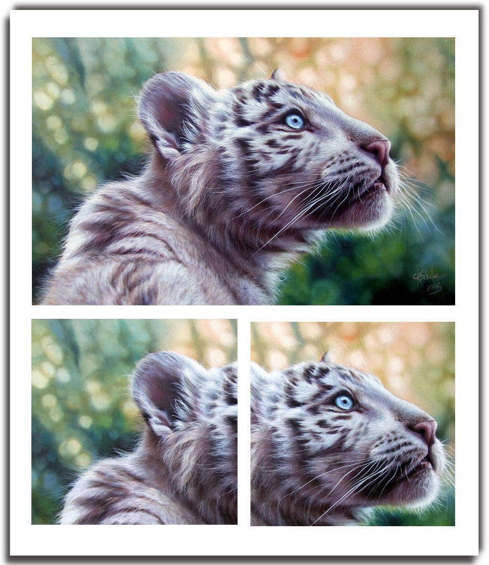 Oil painting White Tiger Cub