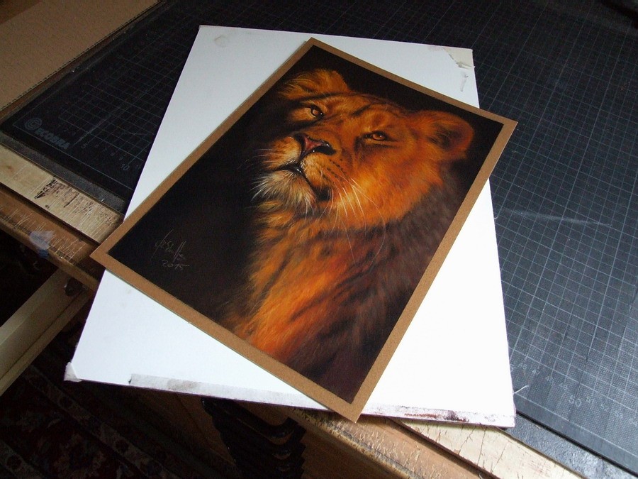 Wildlife pastel painting Lioness