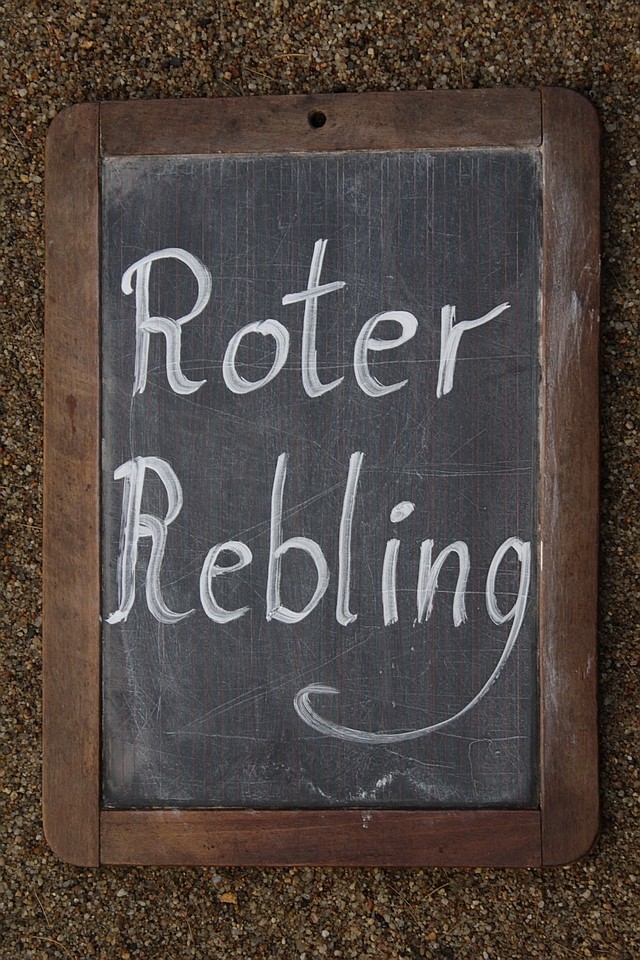 roter Rebling