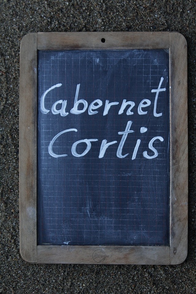 Cabernet Cortis