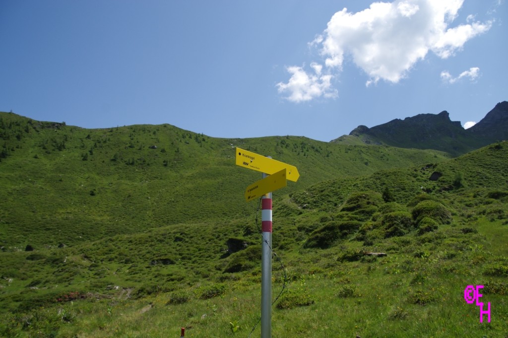 Ausgewiesener Weg zur Seebachscharte (nach links)