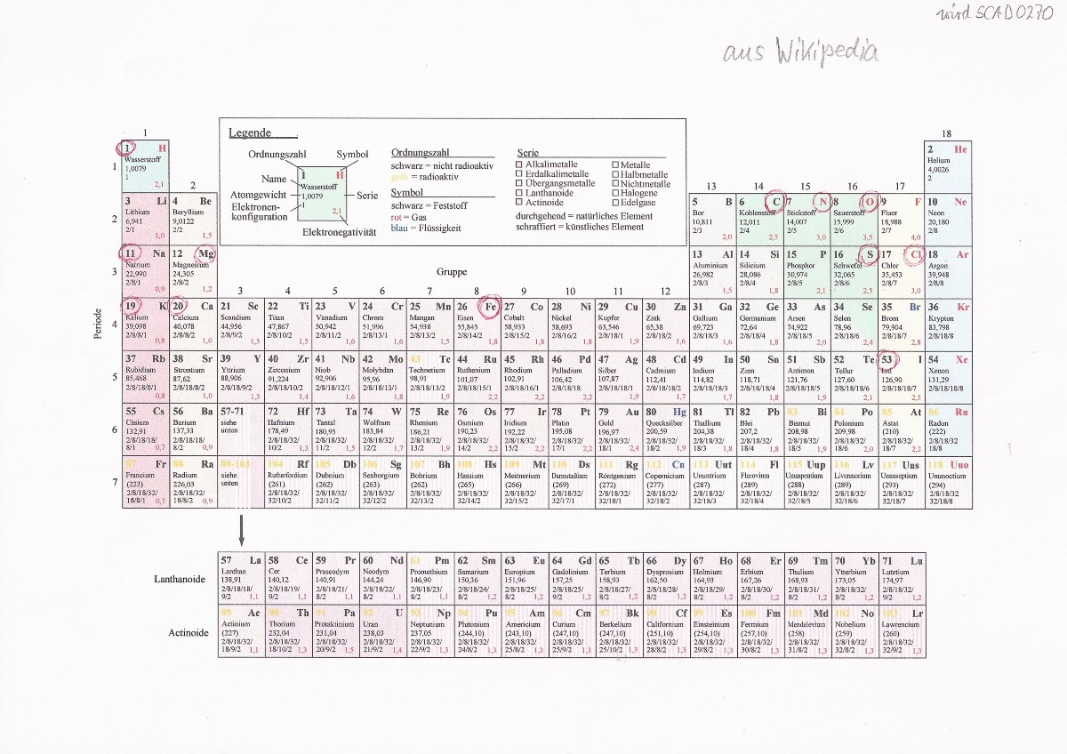 Wikipedia: Periodensystem der Elemente