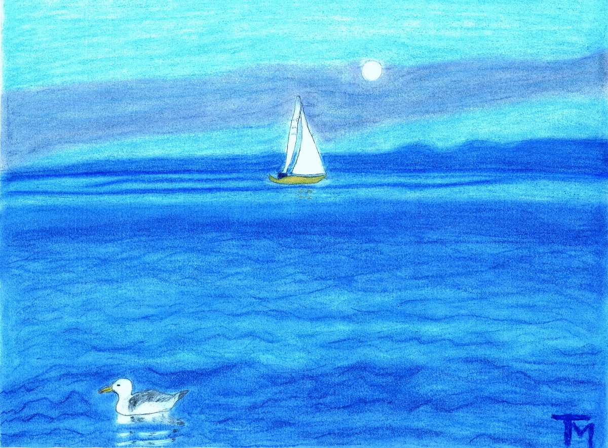 Möwe und Segelboot auf dem Meer