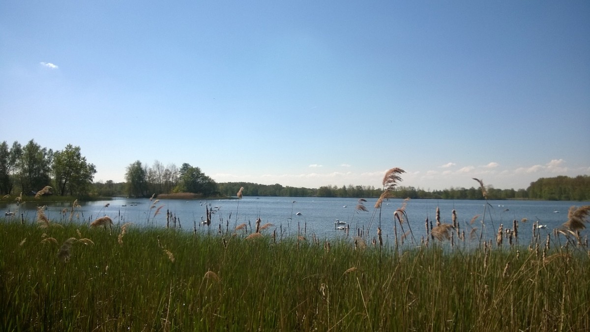 Seenlandschaft Biosphärenreservat 