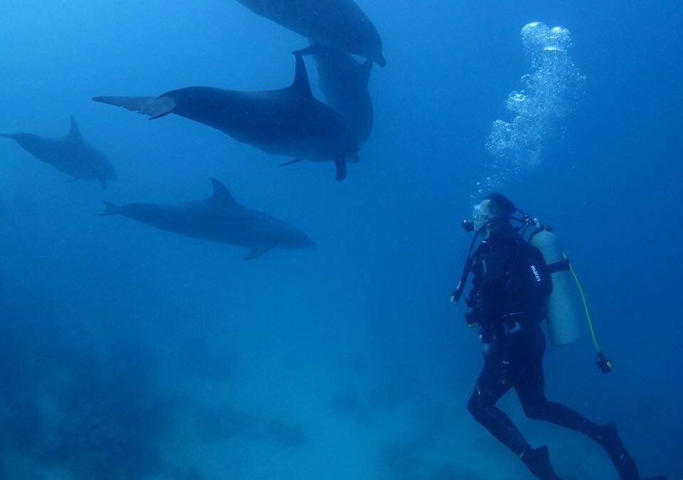 marion graeber - Blick in die Welt