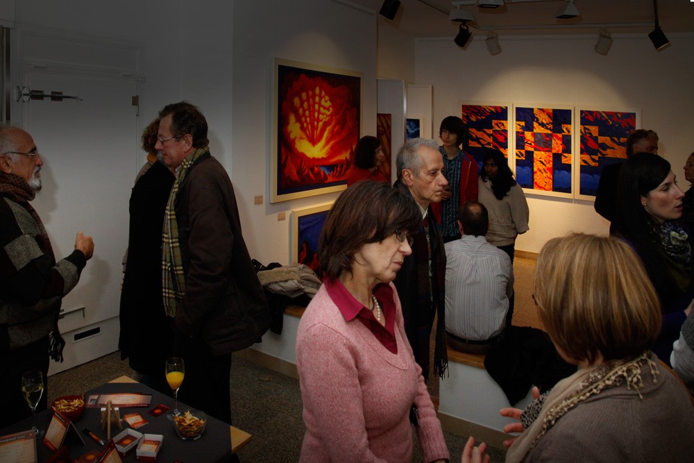 Finissage Synergie in Art Graf Holzer 04.12. 2011