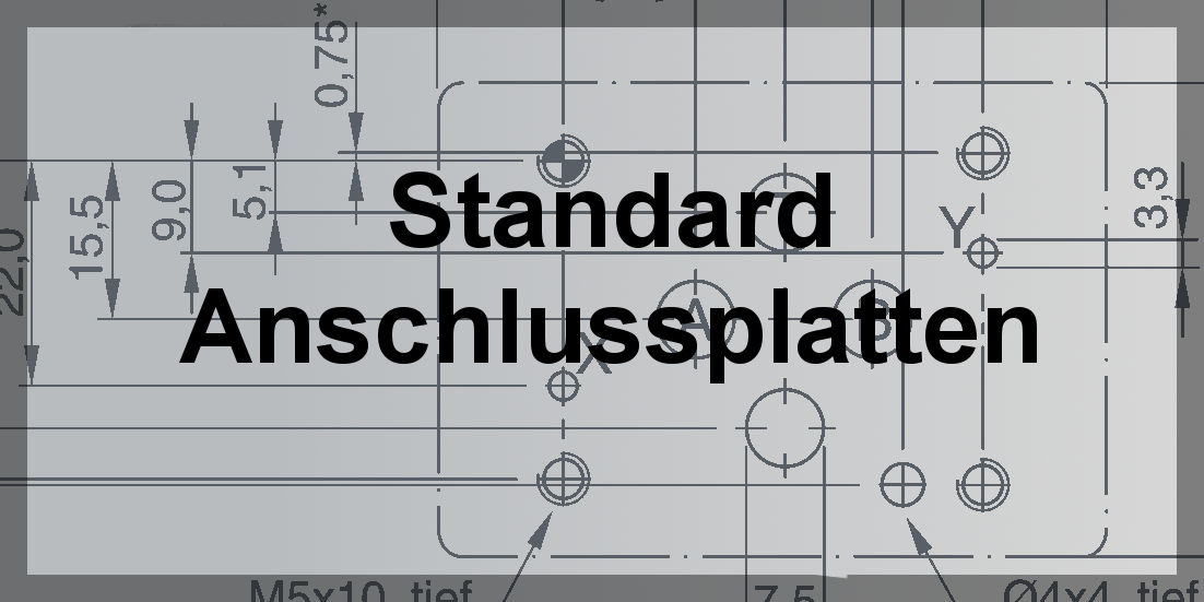 Standard Anschlussplatten NG06