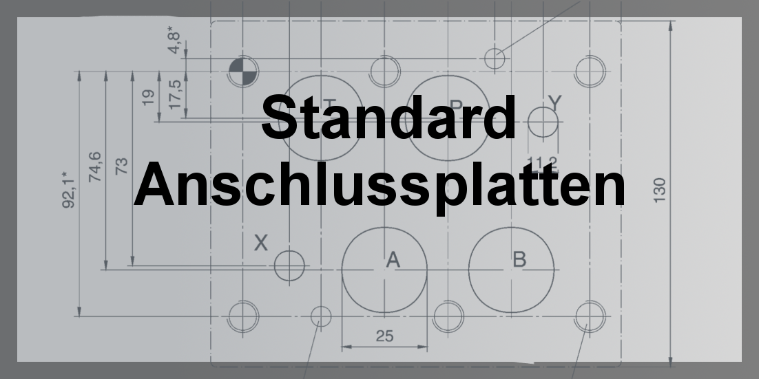 Standard Anschlussplatten NG25 Einfach