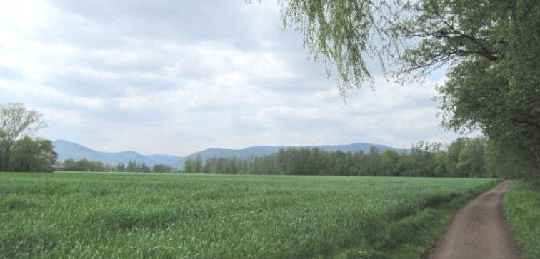Palatia-Radweg _Pfälzer Wald mit Triefels-Blick