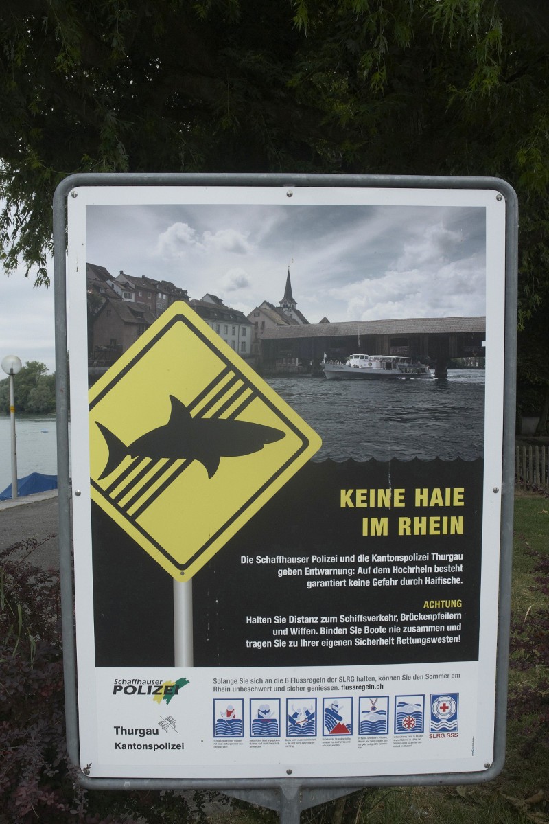 „Keine Haie im Rhein“